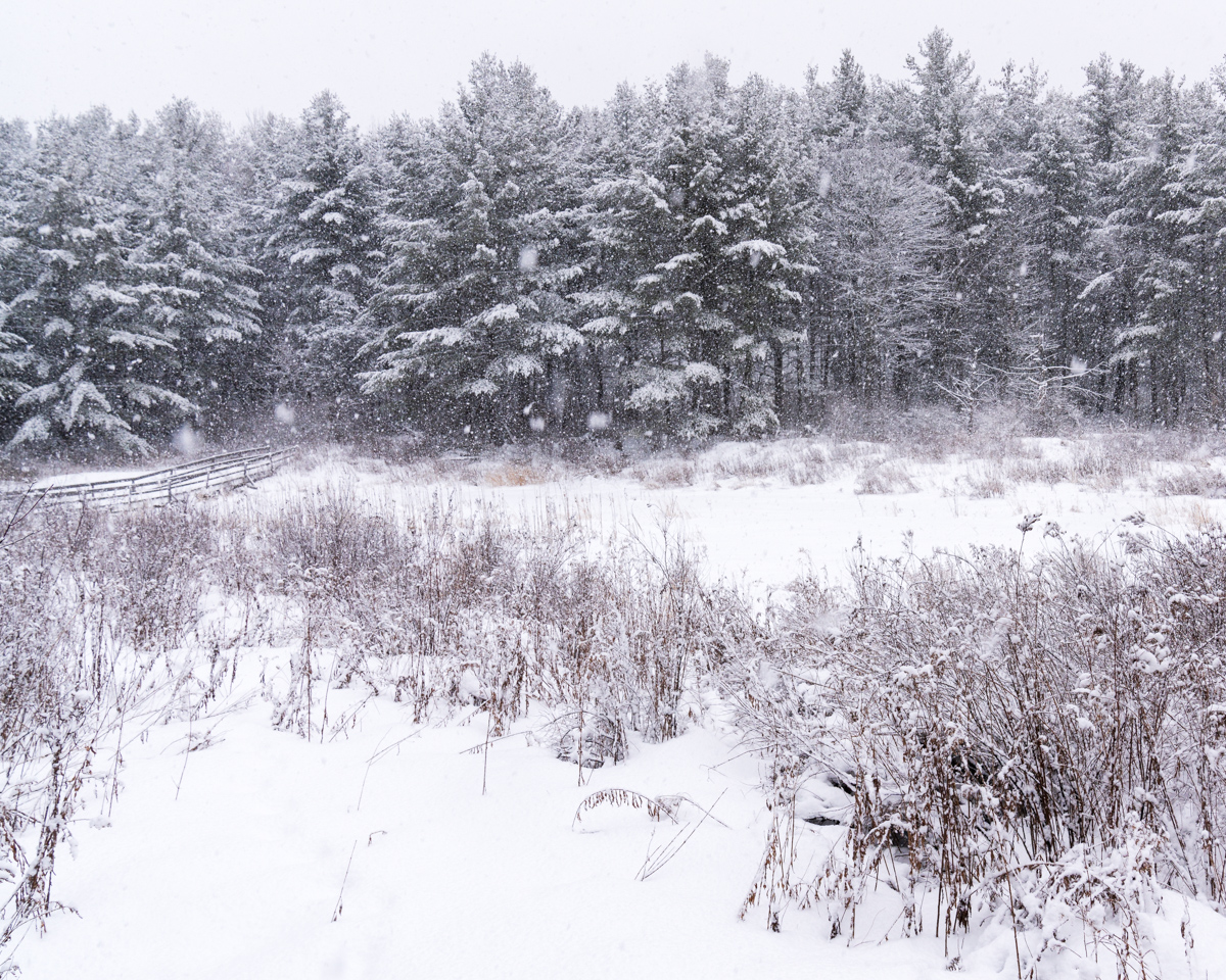 Snowfall Over Winter Field