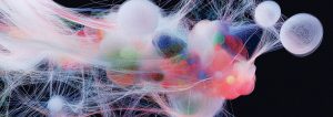 Neural Web in Motion