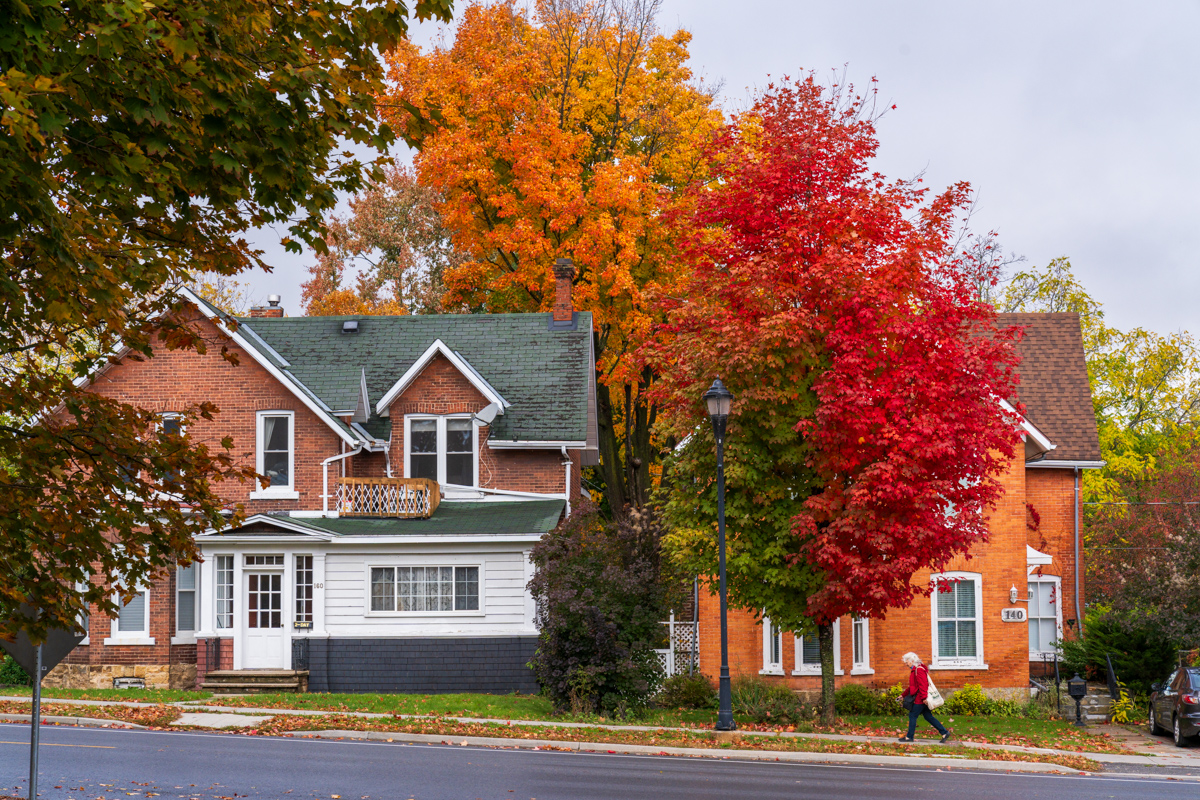 Autumn Colors on Residential Street