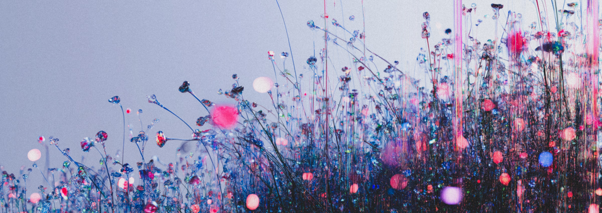 Glass Meadow