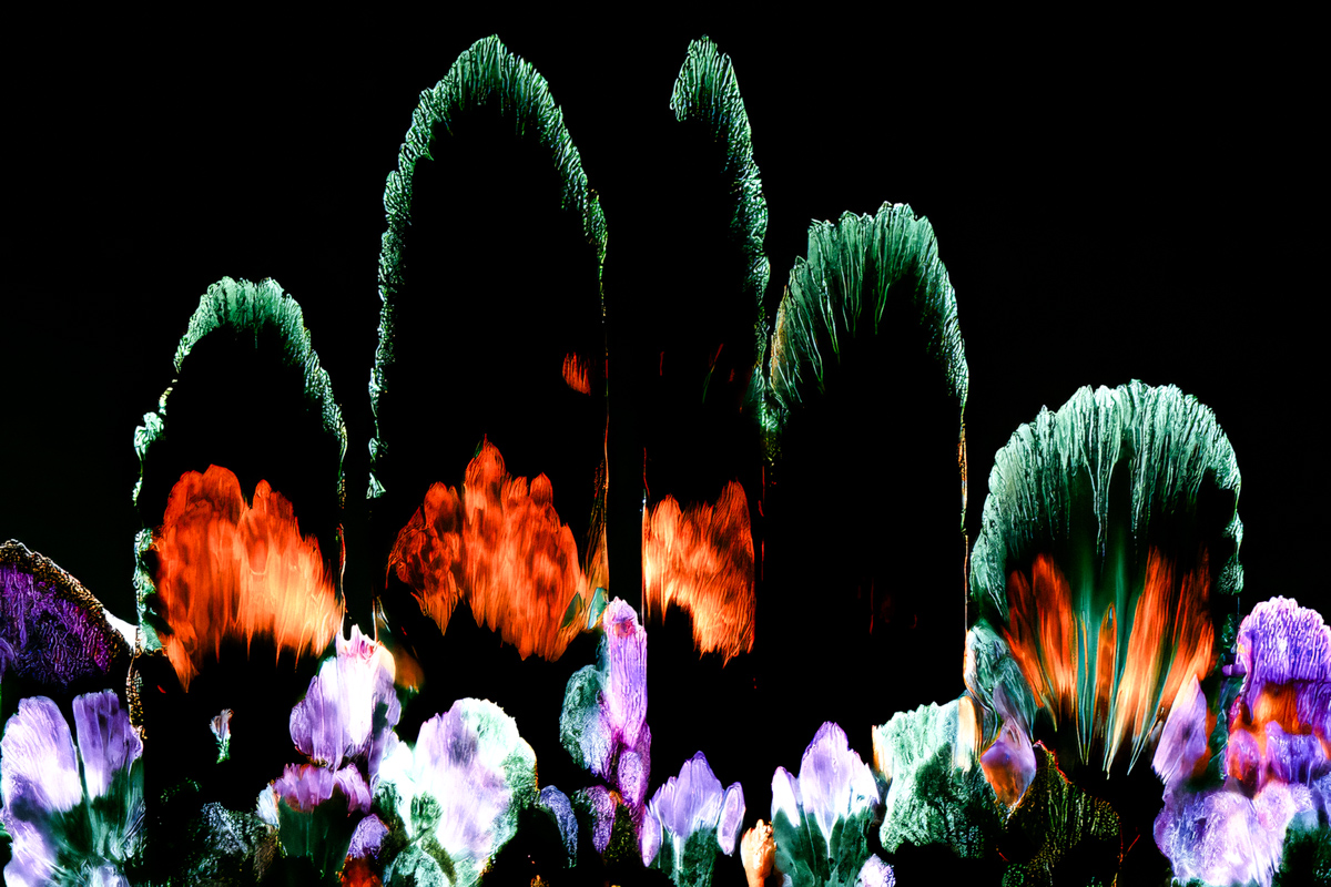 Fractured Light Garden