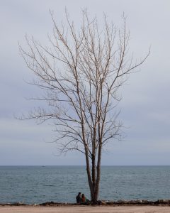 Lakeside Pause, Toronto Waterfront