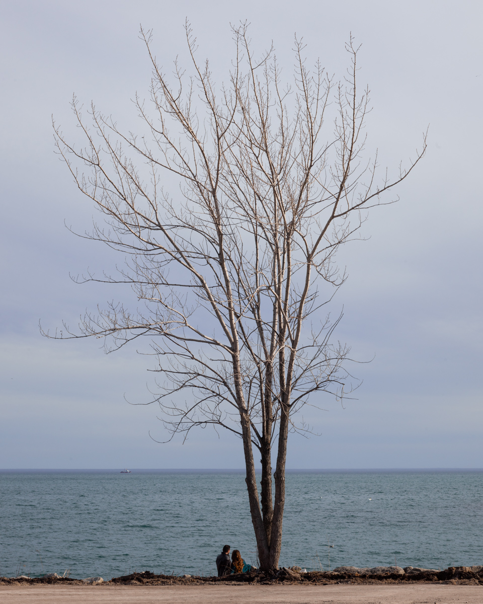 Lakeside Pause, Toronto Waterfront