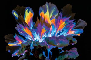 Chromatic Eruption on Black