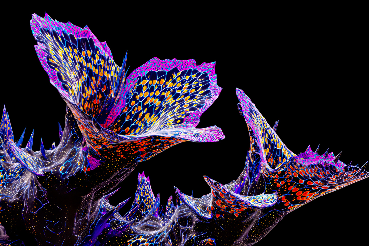 Exploding Organic Forms