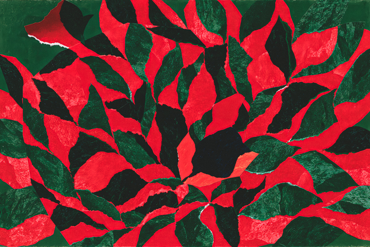 Torn Scraps Converge in Red and Green