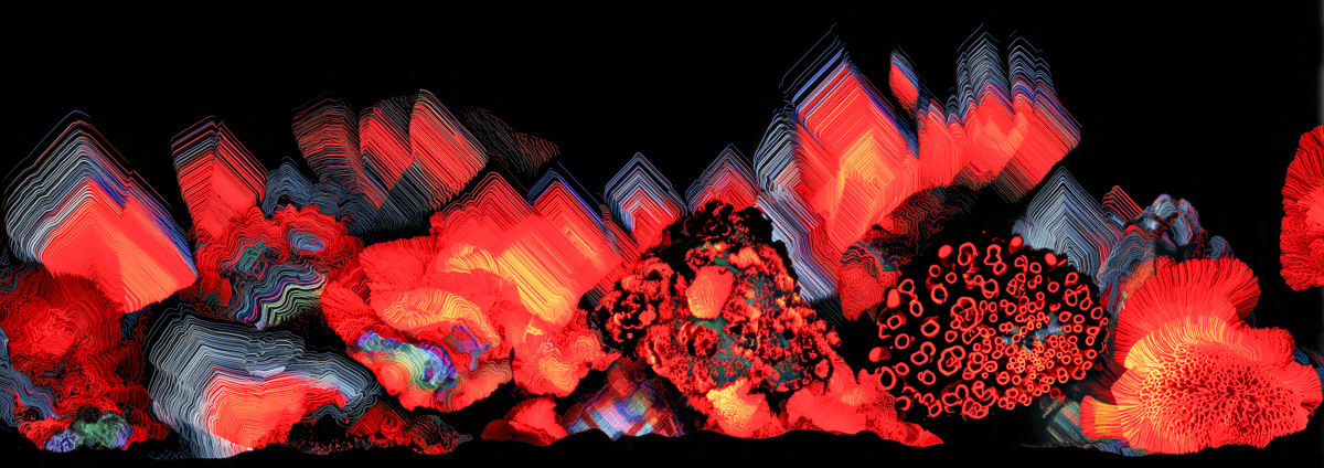 Coral Reef Glitch on Black