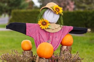 Harvest Scarecrow with Pumpkins