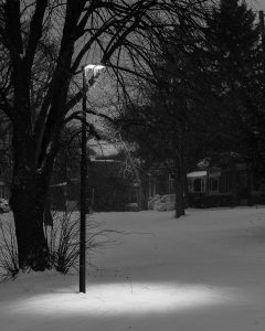 Icicle Branch Through Winter Trees