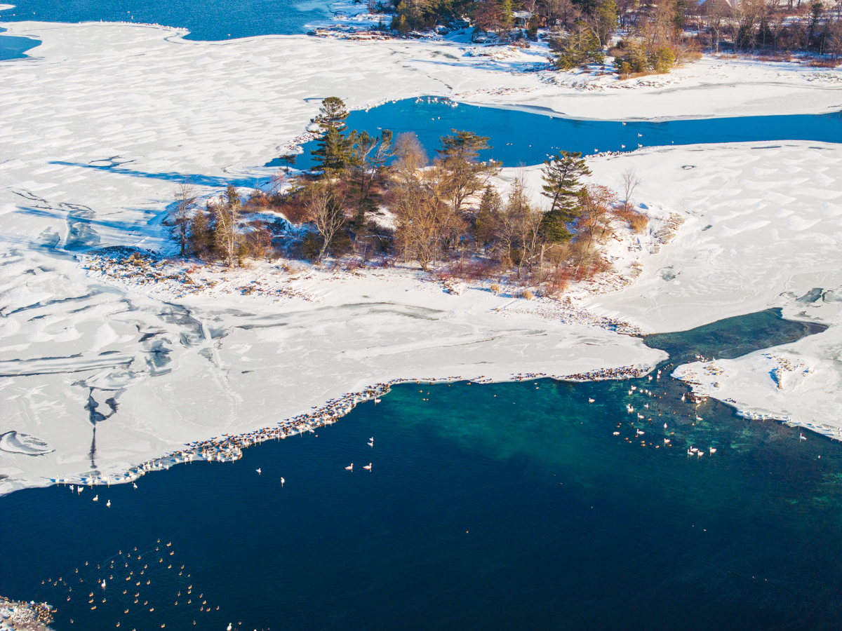 Island in Winter Ice