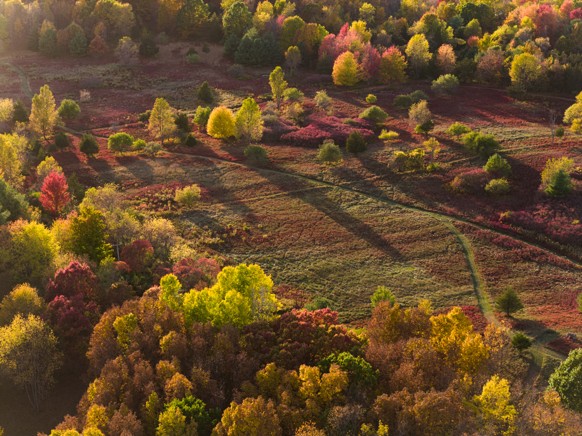 Autumn Patchwork, 1000 Islands