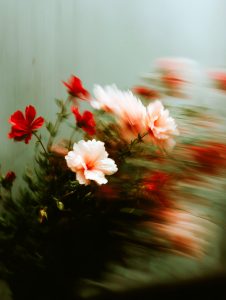 Blurred Floral Sweep
