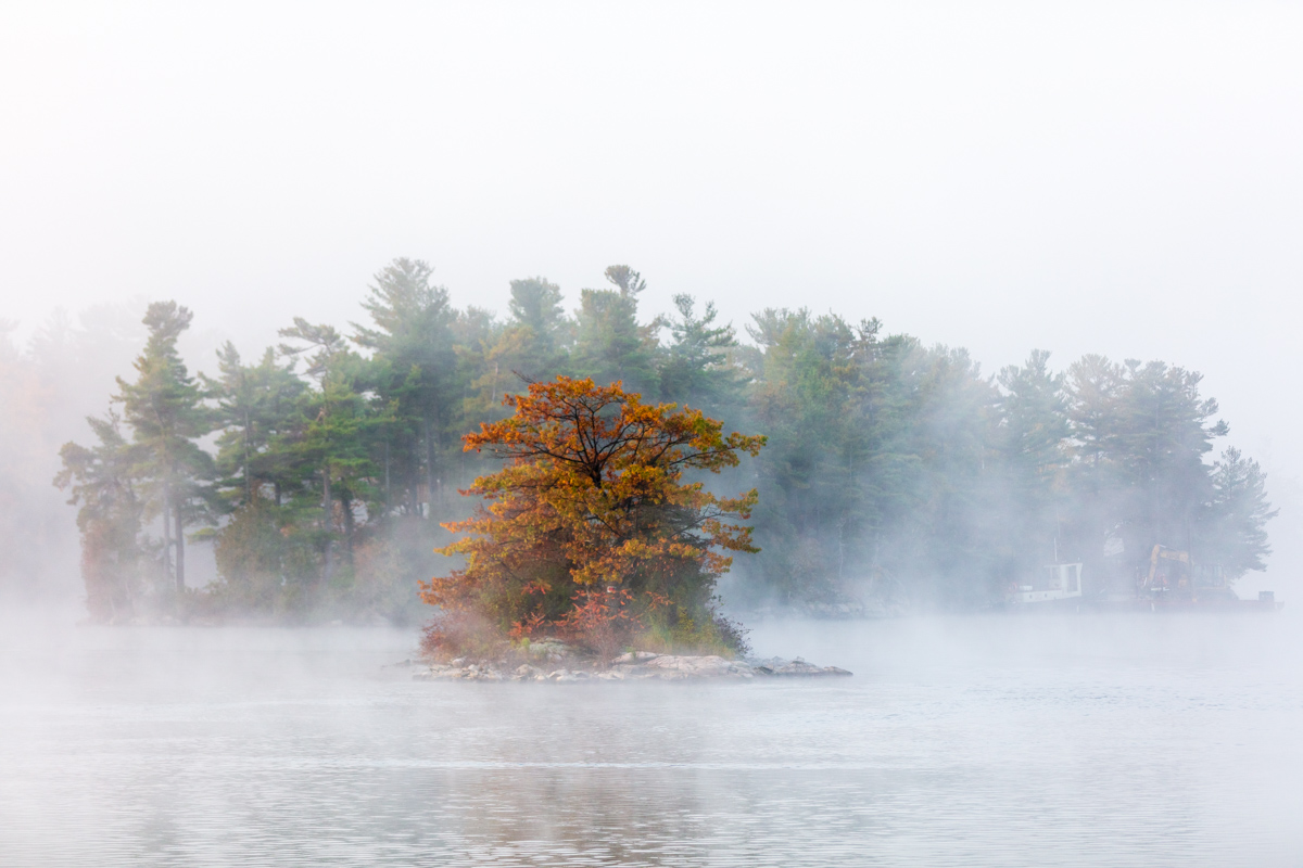 Island in Autumn Fog