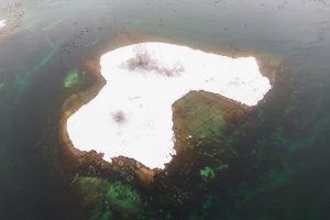 Snow-Covered Island with Waterfowl