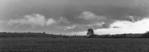 Storm Clouds Over Ontario Cropland