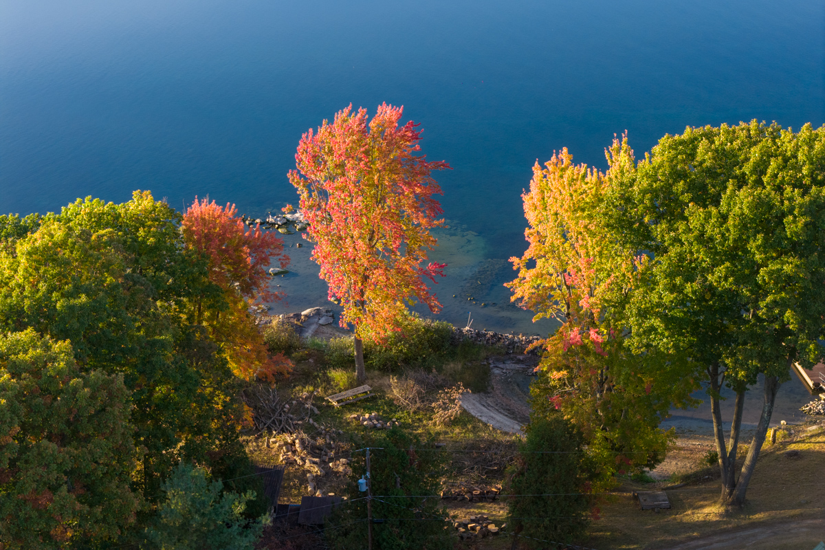Autumn Shoreline, 1000 Islands