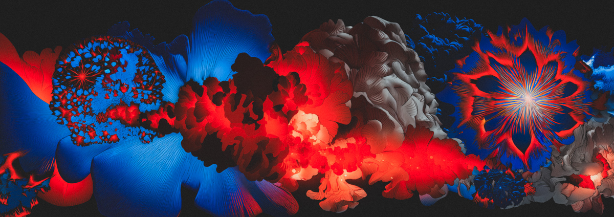 Fungal Structures in Blue and Red