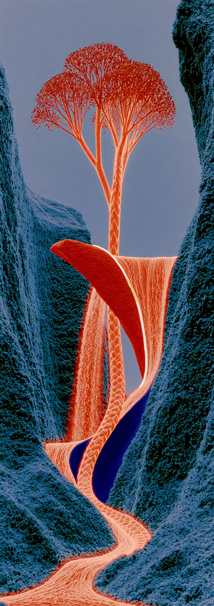 Red Flow Split by Orange Wedge