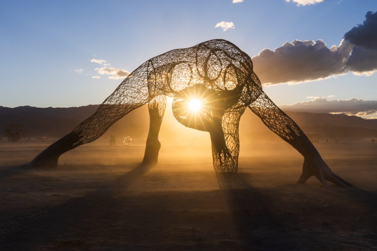Sunset Through Mundara by The Art Rising
