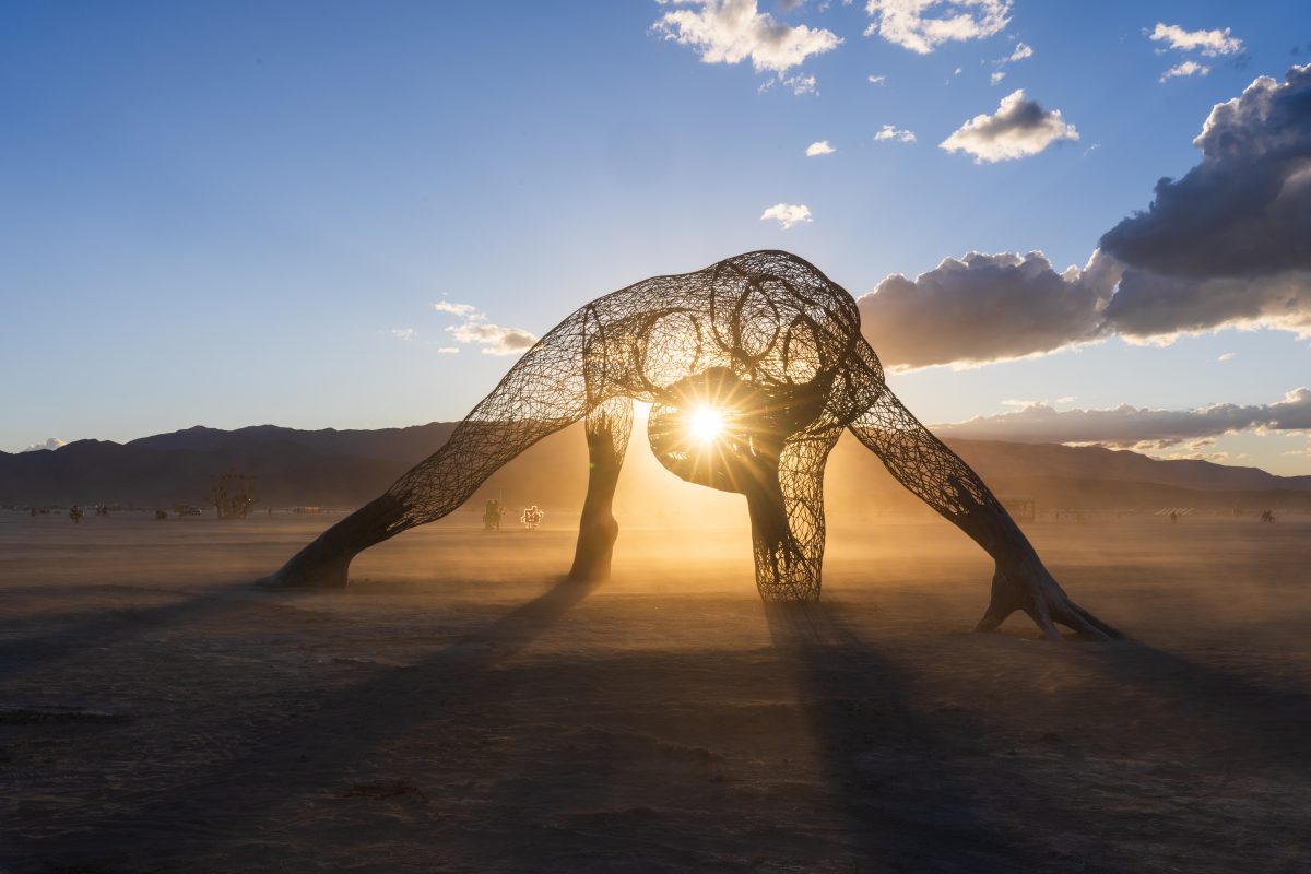 Mundara by The Art Rising