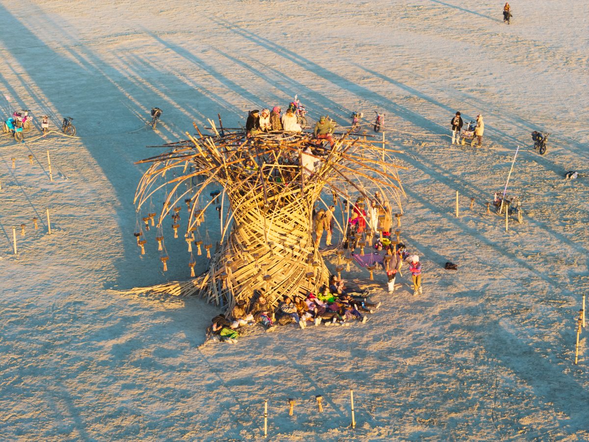 Sunrise Gathering at Resonance Tree by Resonance Art Collective