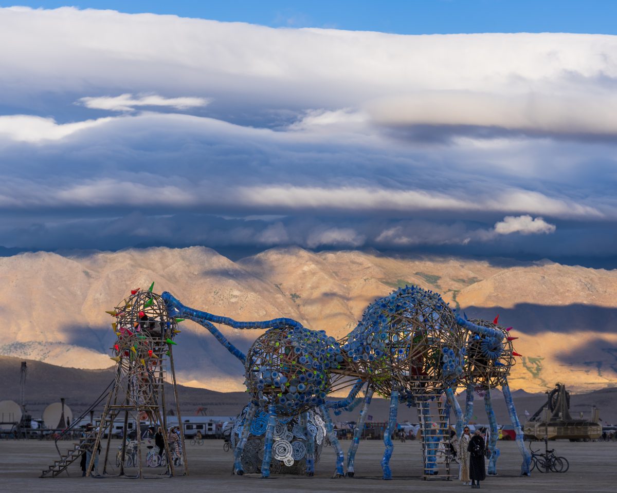 Mebuyan Pulse by Leeroy New Luca Parolari and Sherif Koyes