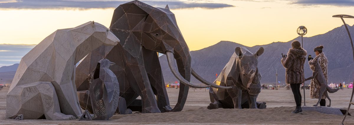 The Council of Animals What to Do about the Humans by Quill Hyde