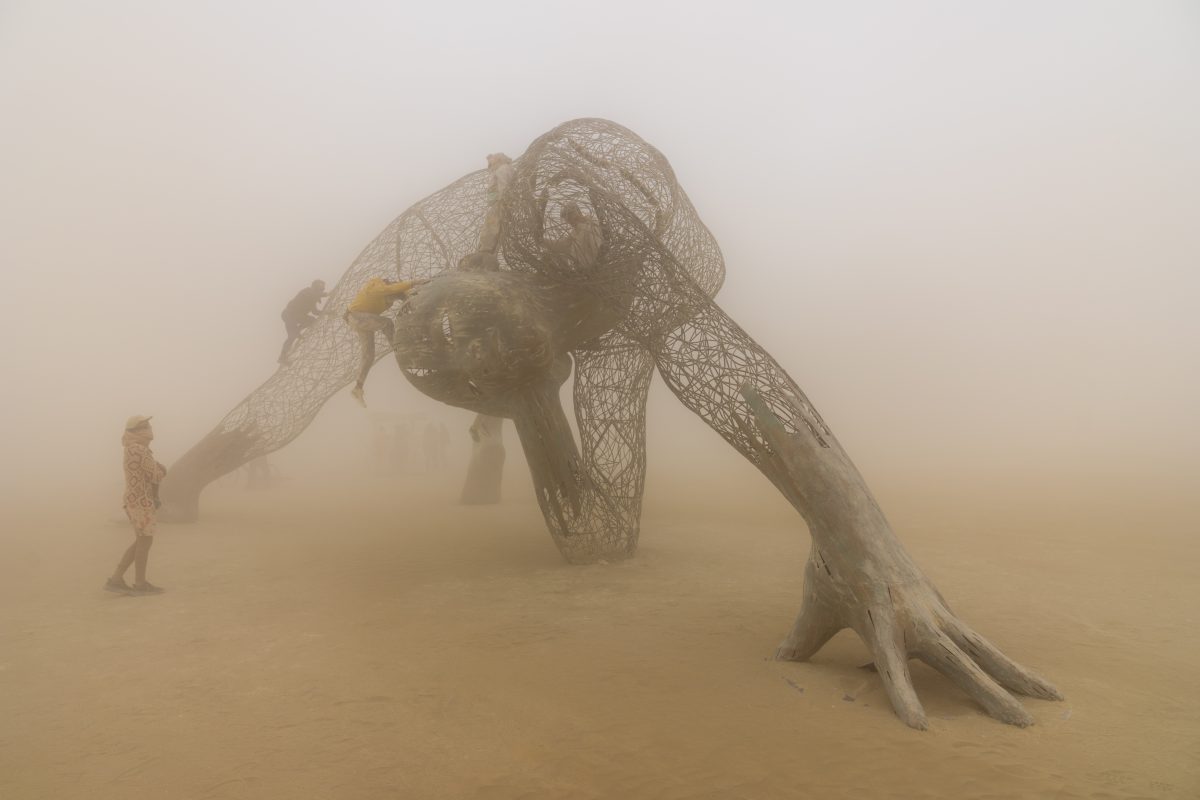 Mundara by The Art Rising