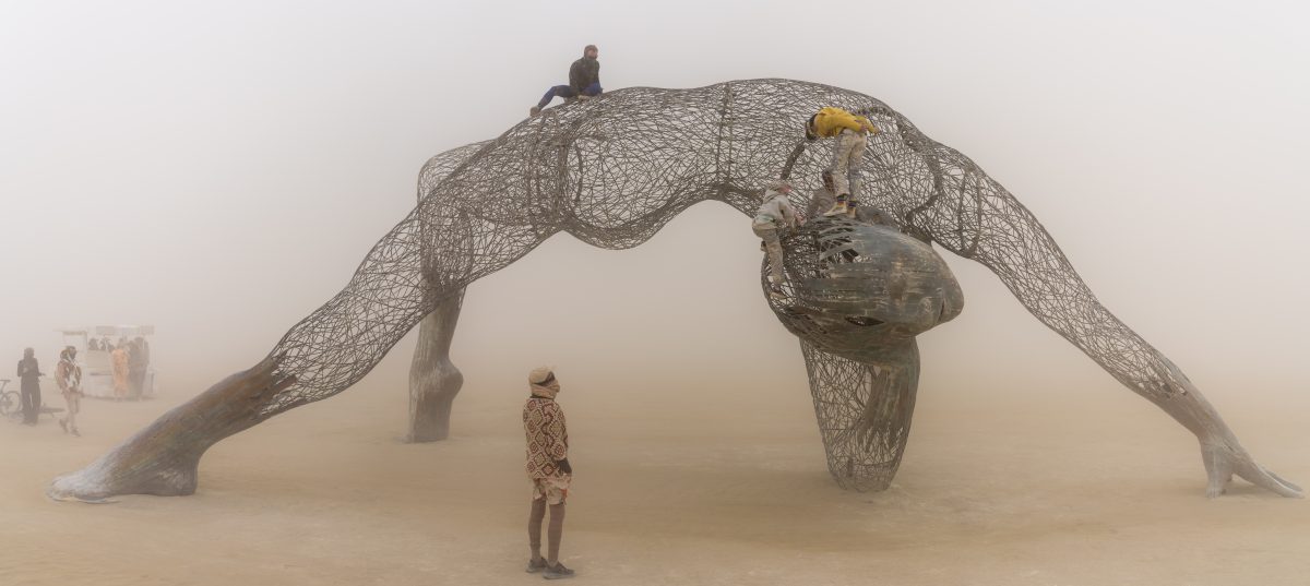 Mundara by The Art Rising