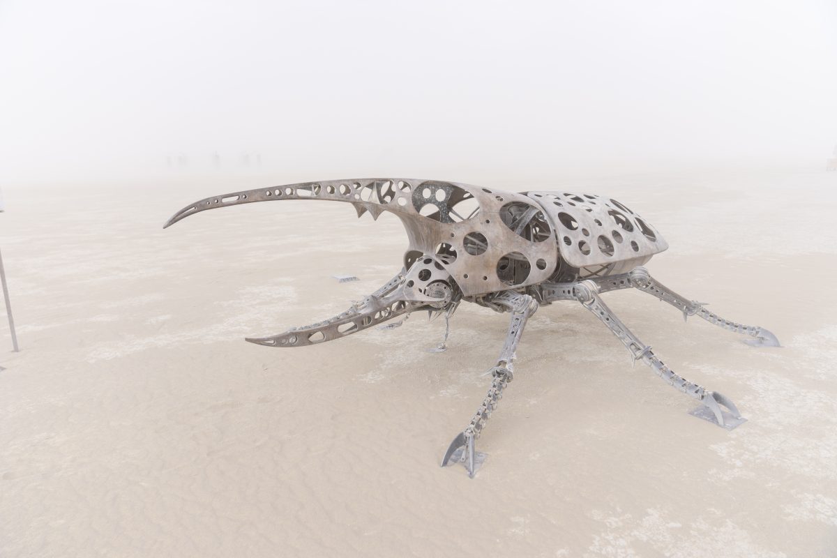 Beetle by Barry Crawford