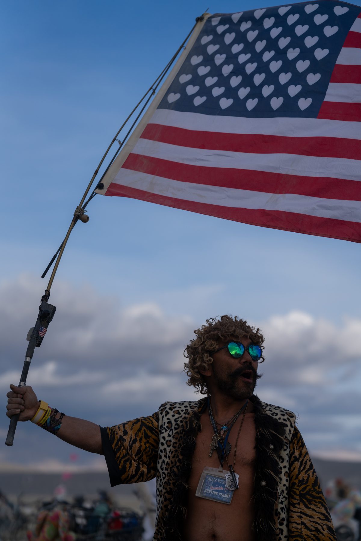 Heart Flag and Leopard Print