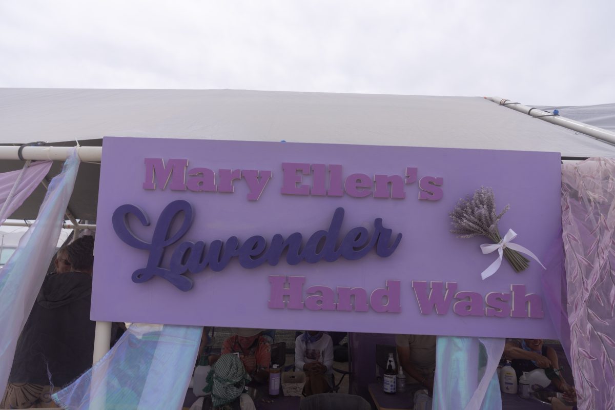 Mary Ellens Lavender Hand Wash