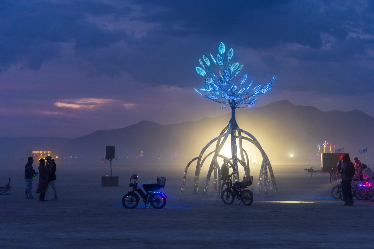 Mangrovito by Frances Schwiep and Pablo Gonzalez