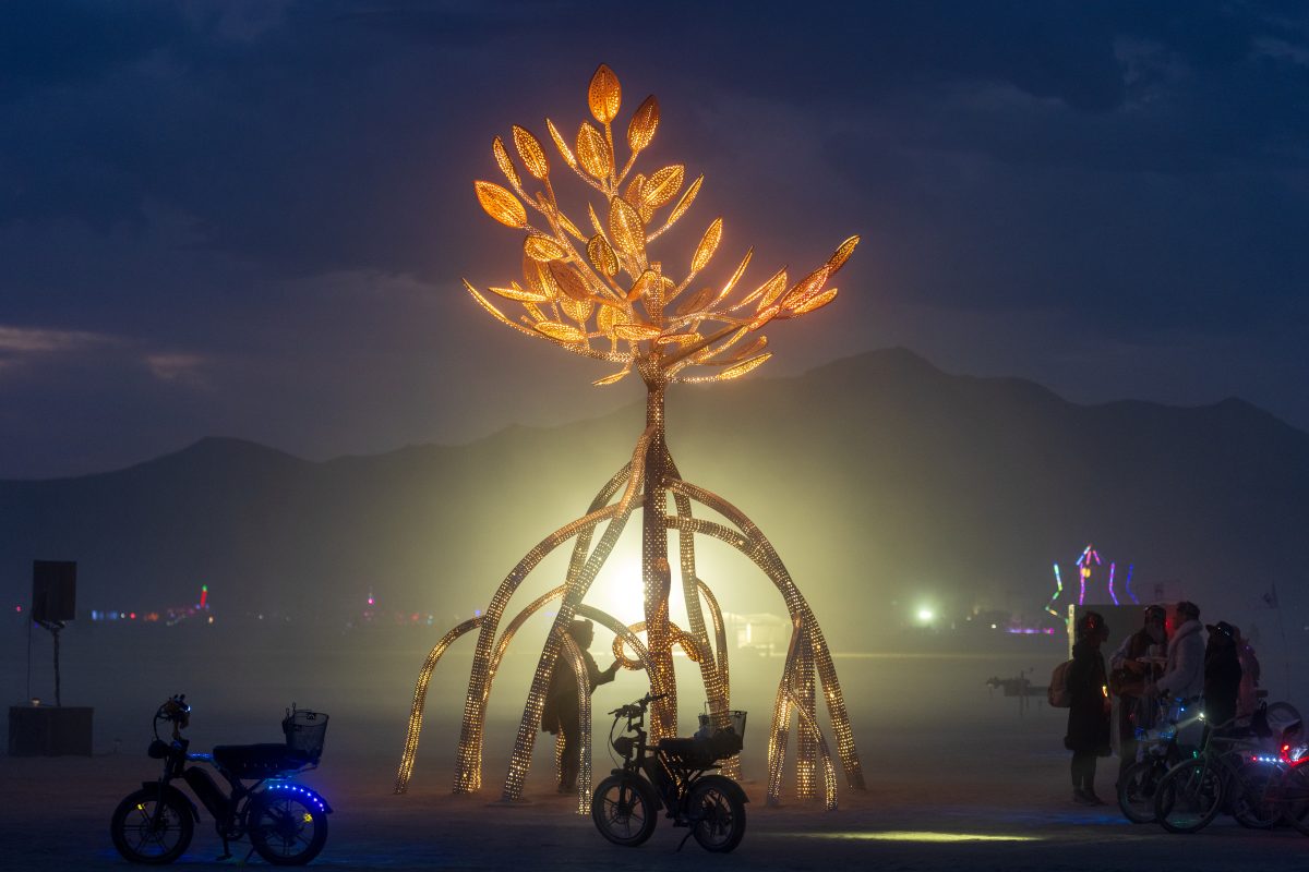 Mangrovito by Frances Schwiep and Pablo Gonzalez