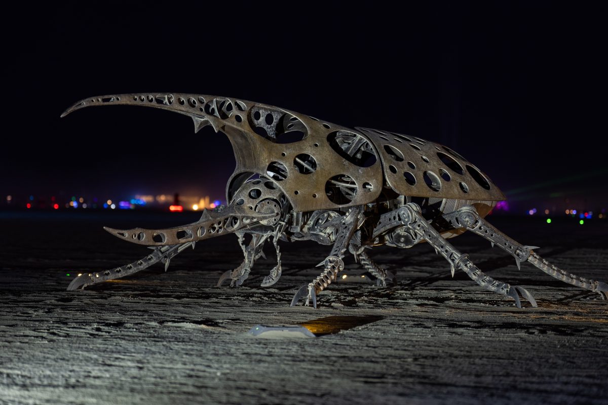 Beetle by Barry Crawford