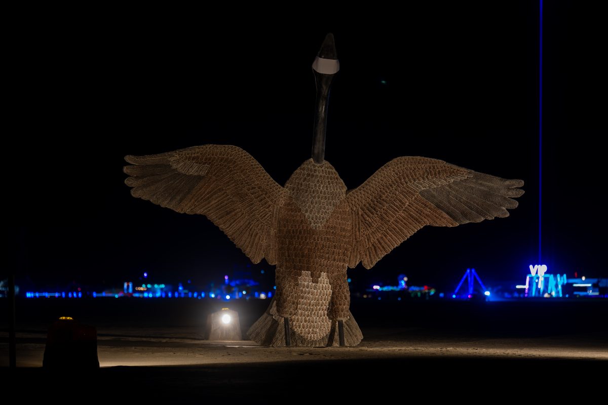 Penny the Goose by Mr and Mrs Ferguson