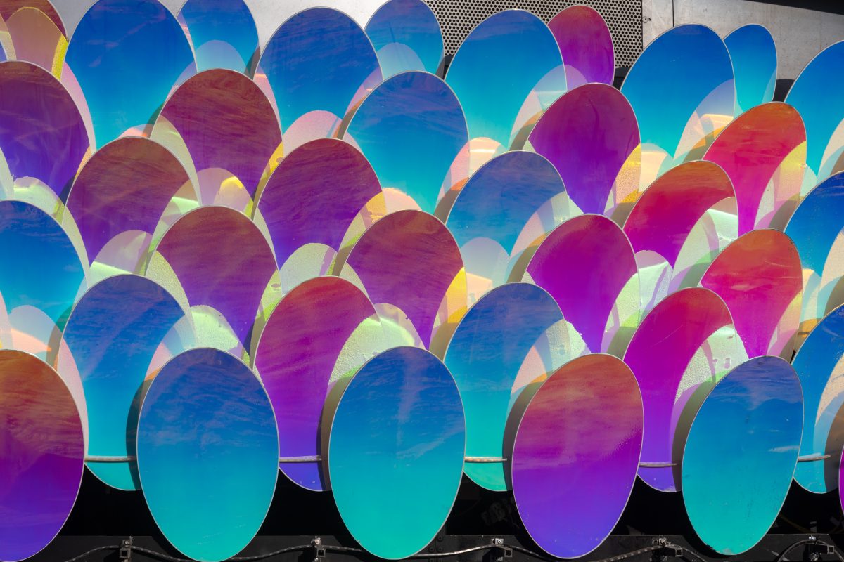 Dichroic Scales in Morning Sun