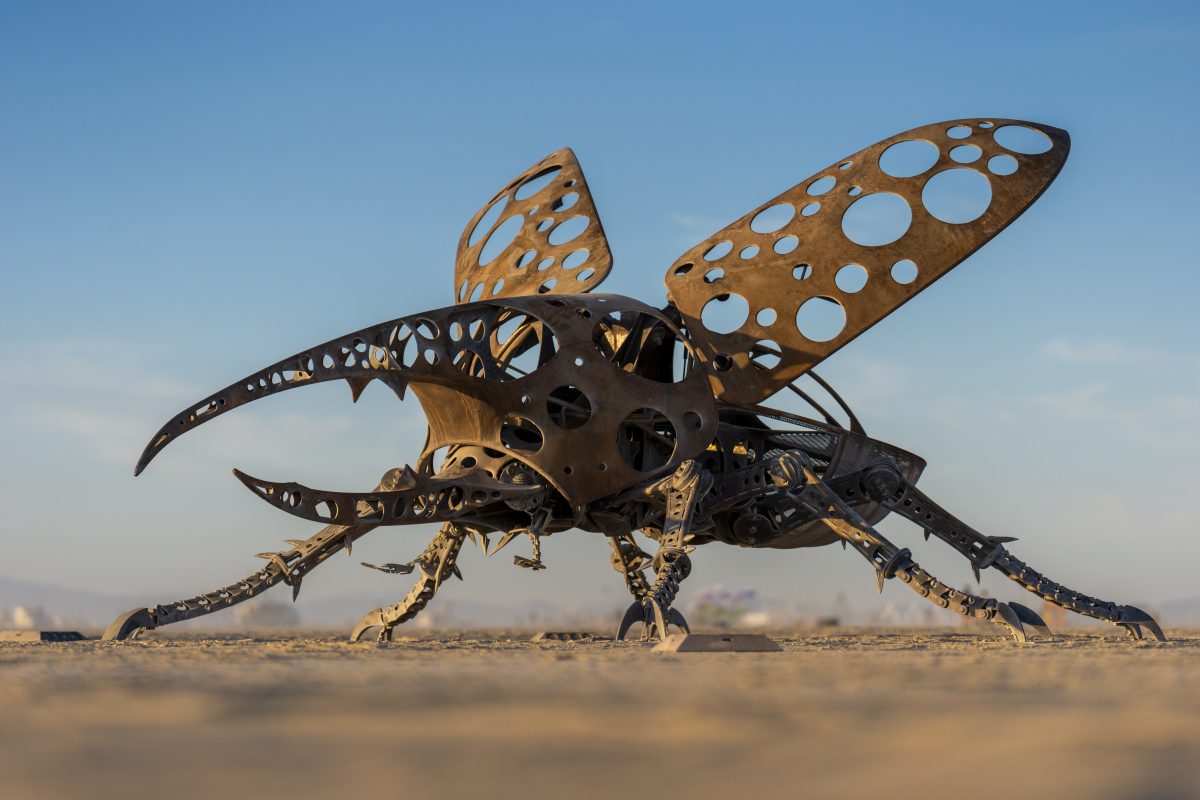 Beetle by Barry Crawford