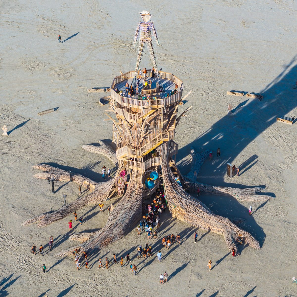 Burning Man 2026 Man Base - Cryptomeria by Alexander Rose
