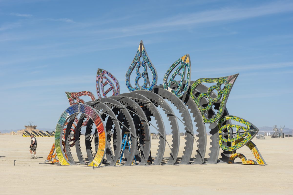 Petaled Portal (build week) by David Oliver