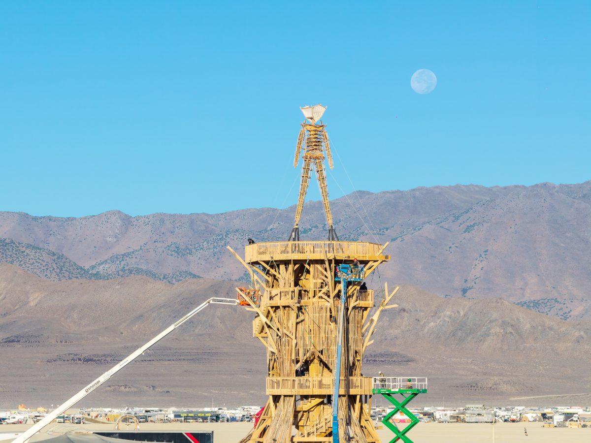 Burning Man 2026 Man Base (build week) - Cryptomeria by Alexander Rose