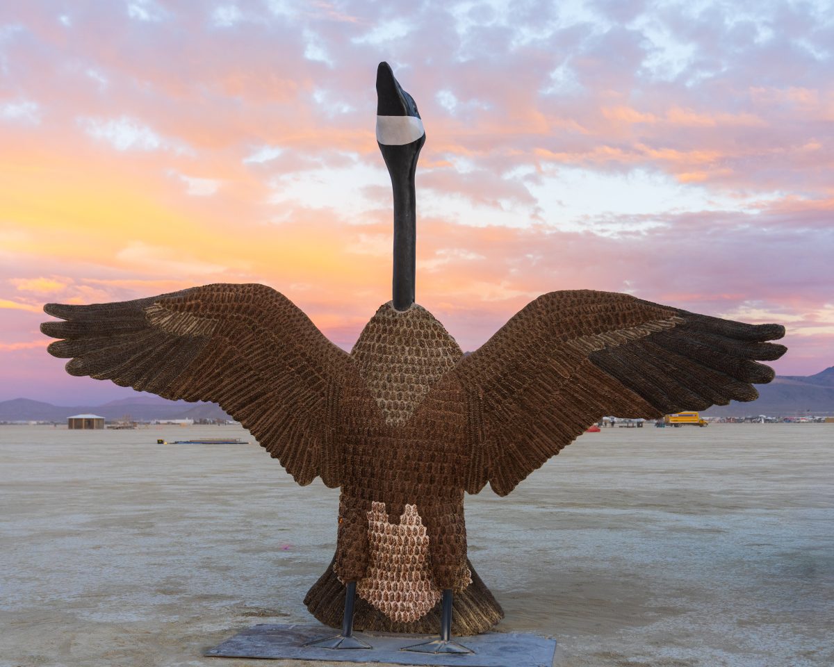 Penny the Goose (build week) by Mr and Mrs Ferguson