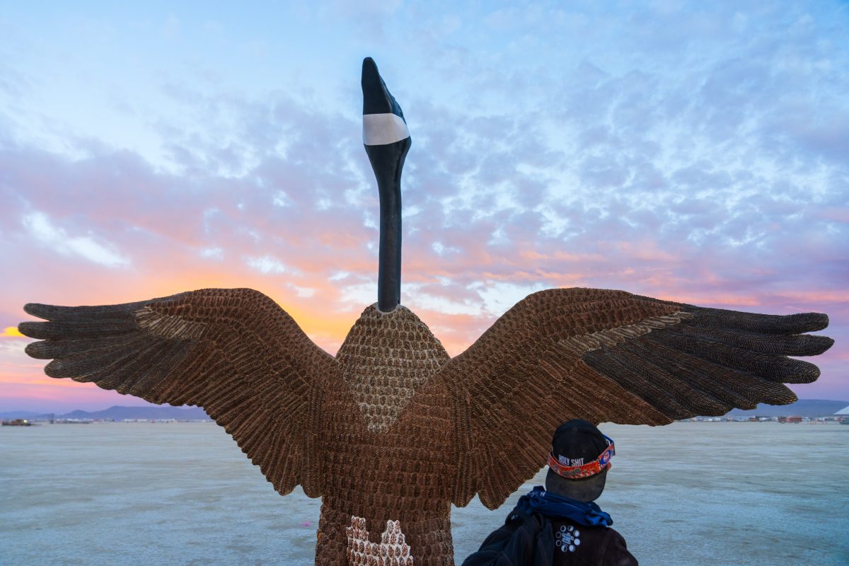 Penny the Goose (build week) by Mr and Mrs Ferguson