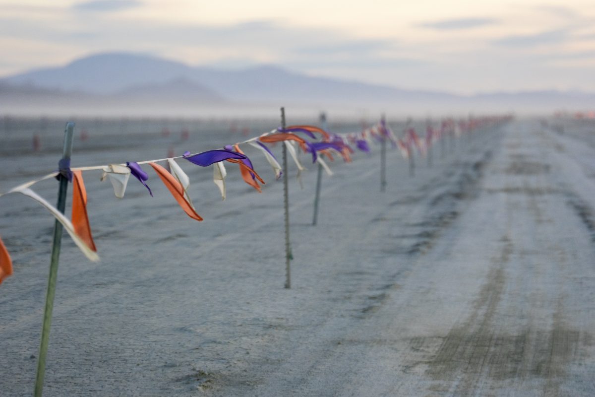 Pennant Flags on the Gate Road