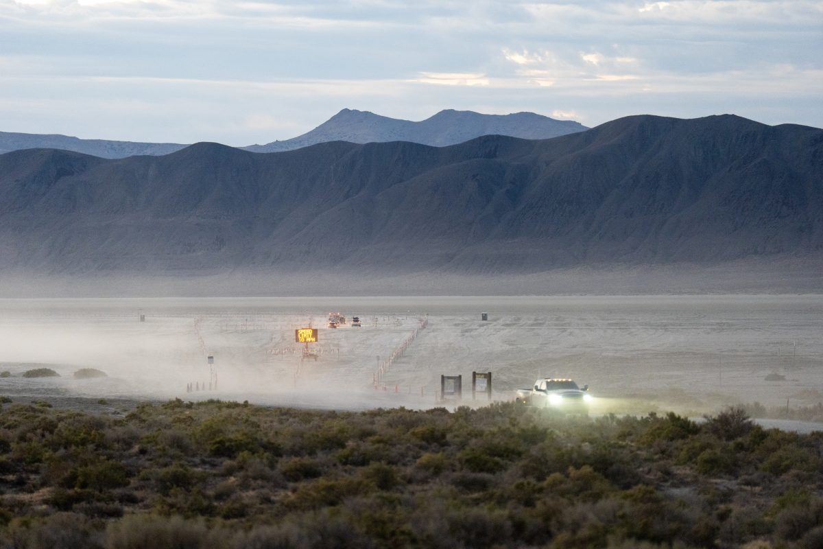Gate Road at Dawn
