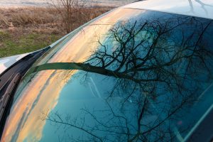 Storm Light Reflected on Car Hood