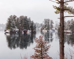 Island Boathouses Through Winter Pines