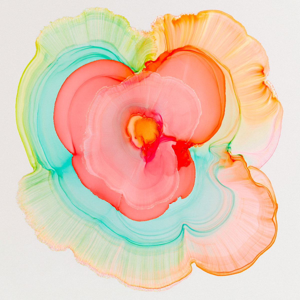 Rose Love in Nested Ink