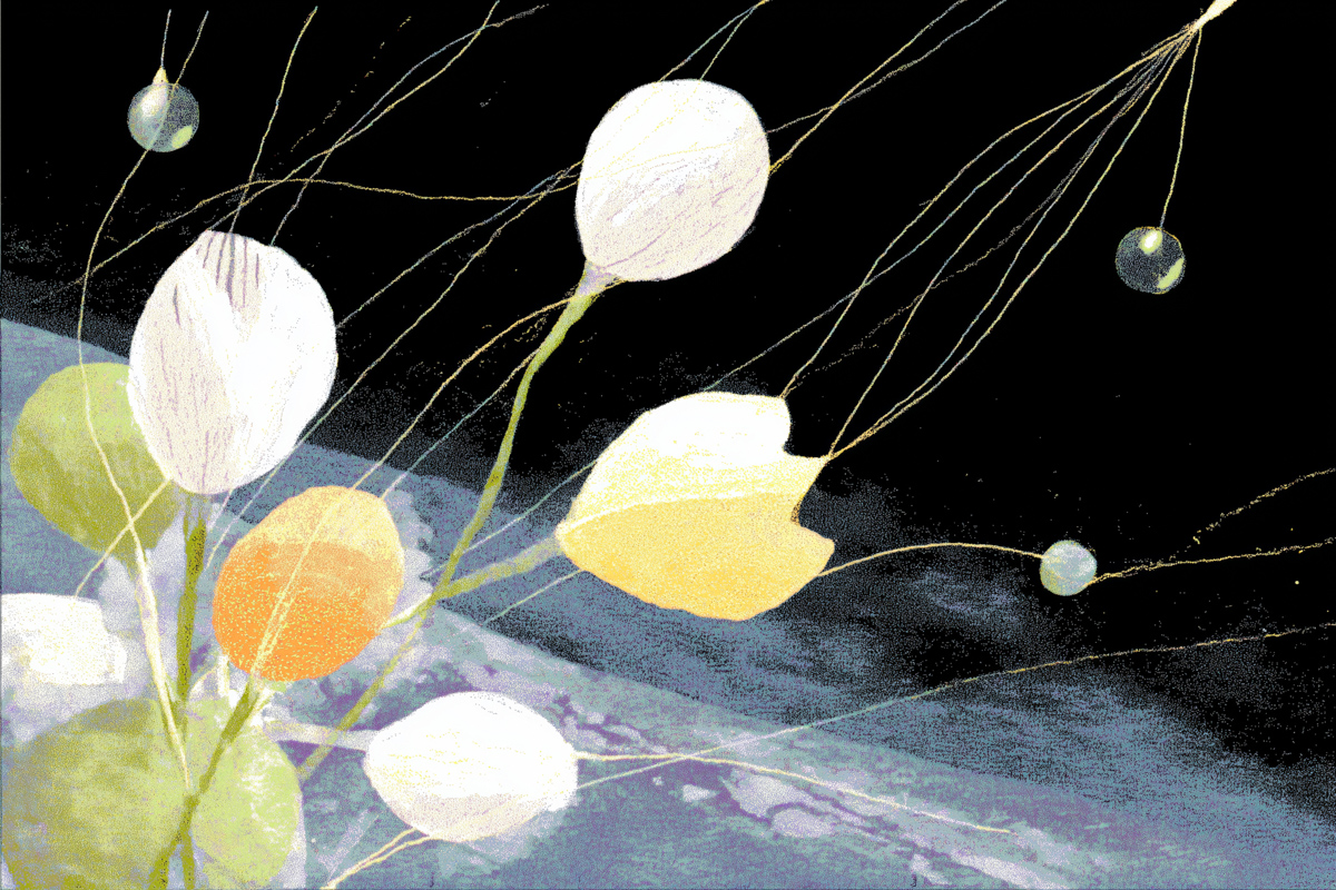 Ceramic Petals and Circuit Threads