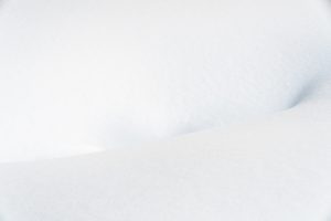 Hollow in Winter White
